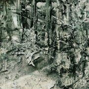 Black_forest0002_card