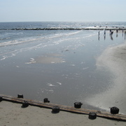 Img_6737_card
