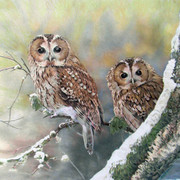 Ttawniess_card