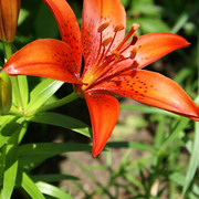 Dsc00881_card