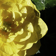Dsc00892_card
