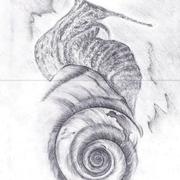 Melccreion_card