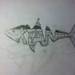 Ryan_fish_square