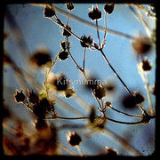 998763-1-cool-breeze_watermark_card