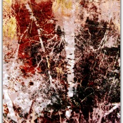 Untitled-1_card