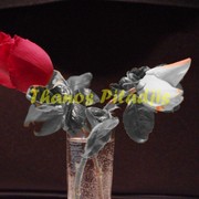 Imgp9387__1280x768__card