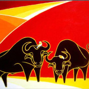 Ragingbulls_card