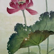 Photo0002_card