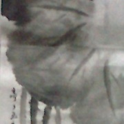 Photo0024_card