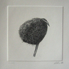 Bird_iii_thumb