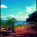 Memories_by_sangue_amore_square