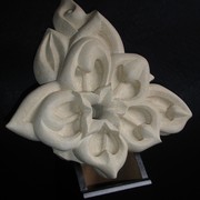 Dragon_flower_800_card