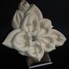 Dragon_flower_800_thumb
