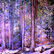 Forest_4_card