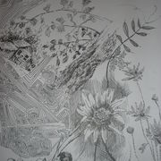 P5110107_card