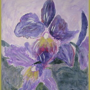 Img_0085_orchid__crop___olive_green_border_card