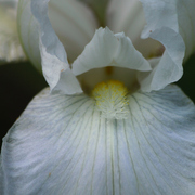 037051211a_card