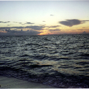 5-15-2011_3_card