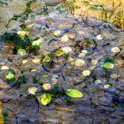 Wishing_well_1_card