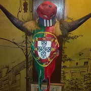 Touro_portugues_card