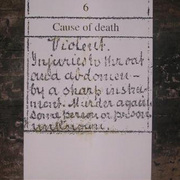 Chapman_card