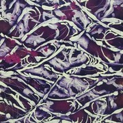 Img_0848_card