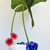 Ikebana-051_thumb
