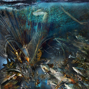 Under_water_activities-prin_card