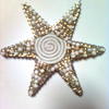 Star_keyring_thumb