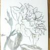 2011051811300000_thumb