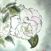 2011033011160000_card