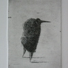 Print_xi_thumb