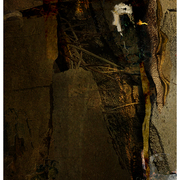 Roots_woven_in_the_wall_of_mud_card