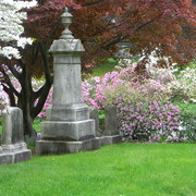 Graveyardbeauty1_card