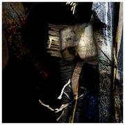 Nightbirds_sing_in_the_rustic_shade_card