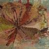 Mariposa_1_thumb