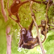 18052011381_card
