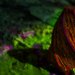 Alienworld_square