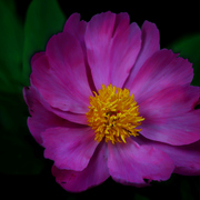 013052011g_card