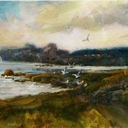 The_gulls_place0001_card