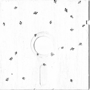 Ants_on_a_disc_card