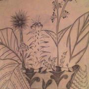 Picture_251_card