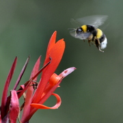 _dsc0100_card