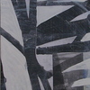 Dscn7999_thumb