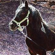 Img_6265poko_edited-2artistic_card