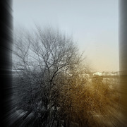 ______3606-2_card