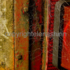 Dsc_7493_copia_thumb