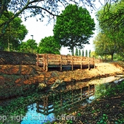 97-artwork-218_1__card