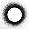 Mansol-alpha_thumb