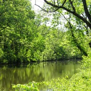 Green_lake_card